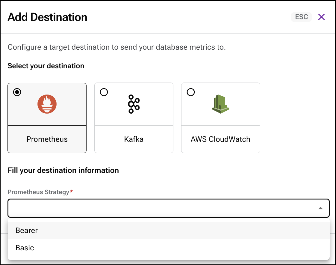Astra DB Metrics Prometheus Strategy on initial destination form.