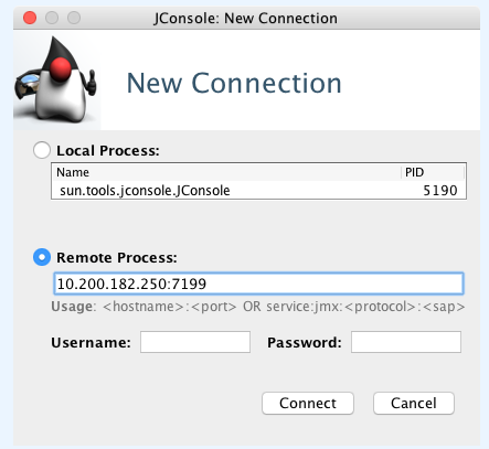 JConsole:New Connection Window