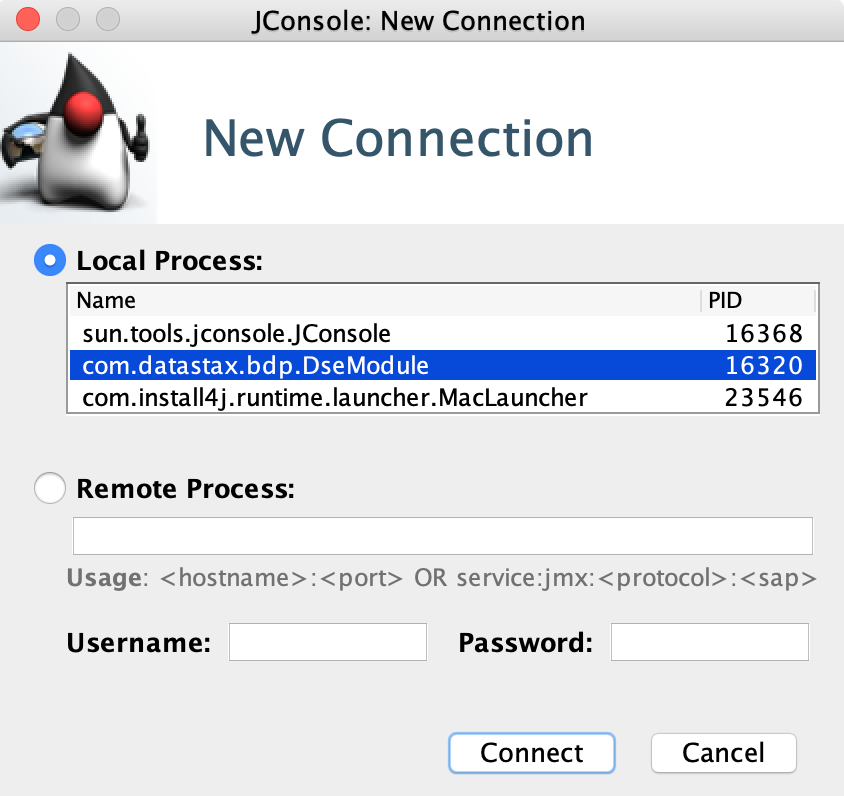 The initial Connection screen in JConsole