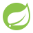 spring boot icon
